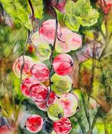 Pink and red roses