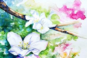 Watercolor blossoms painting